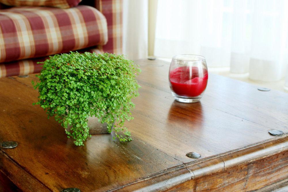 Logement 'De Witte Klok' Oude Bildtzijl Εξωτερικό φωτογραφία