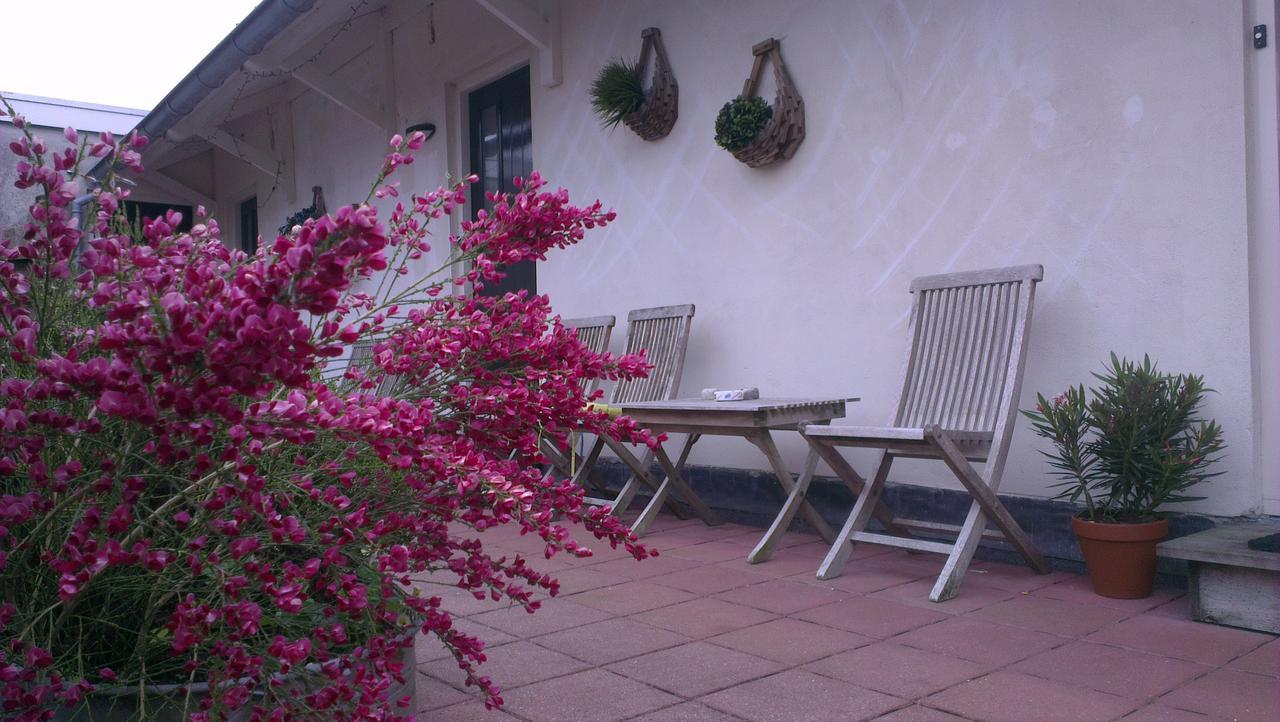 Logement 'De Witte Klok' Oude Bildtzijl Εξωτερικό φωτογραφία